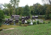 The Letters to the Churches of Asia